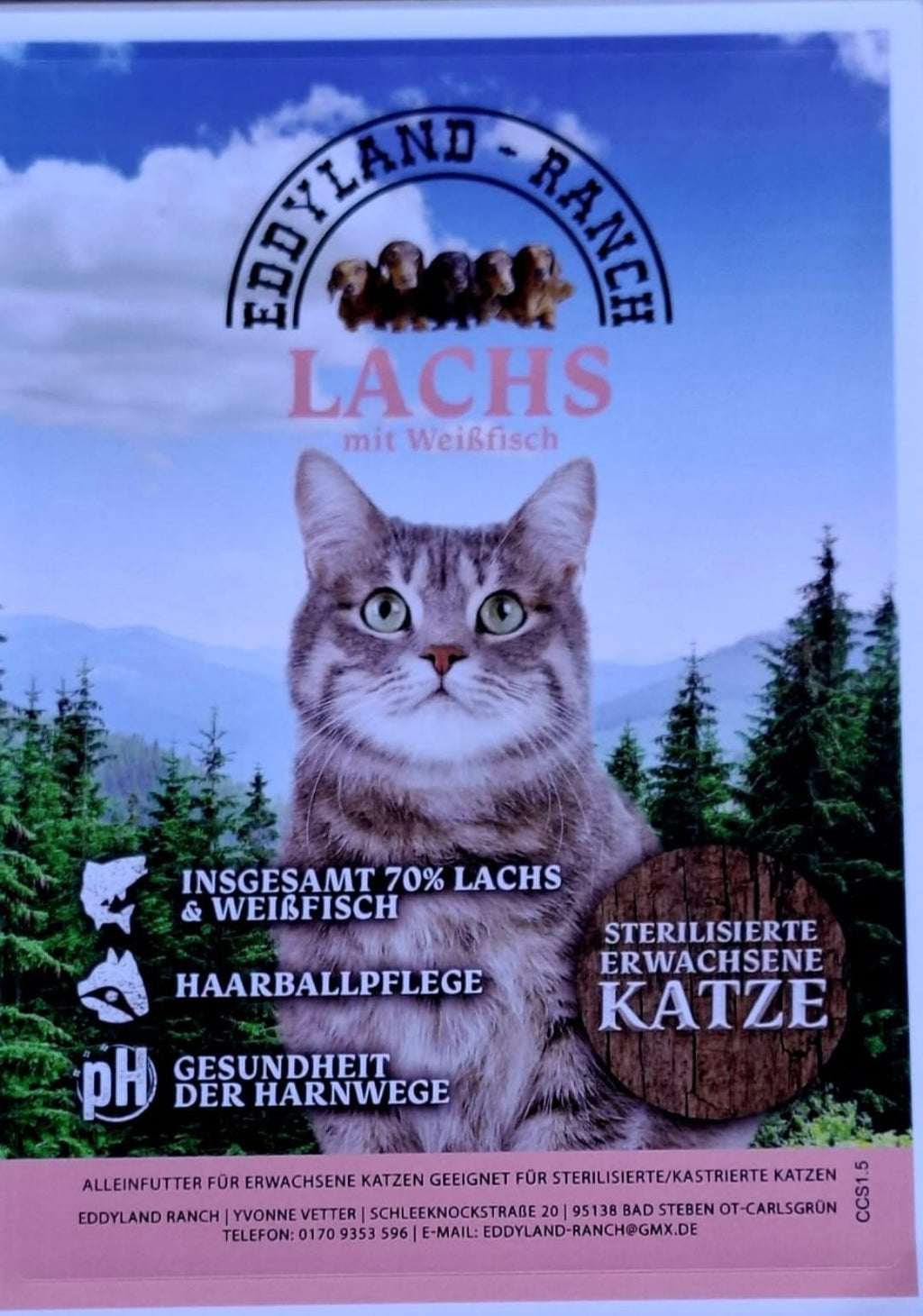 Lachs mit Weißfisch