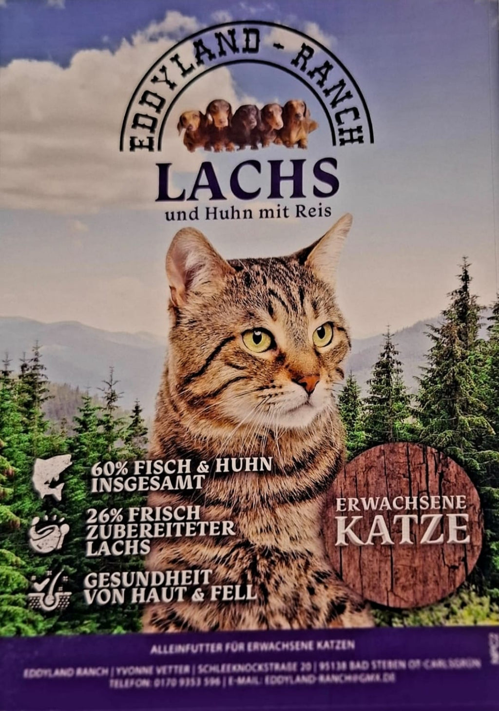 Lachs und Huhn mit Reis