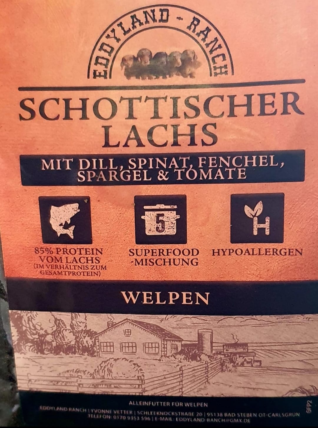 Schottischer Lachs mit Dill, Spinat, Fenchel, Spargel & Tomate