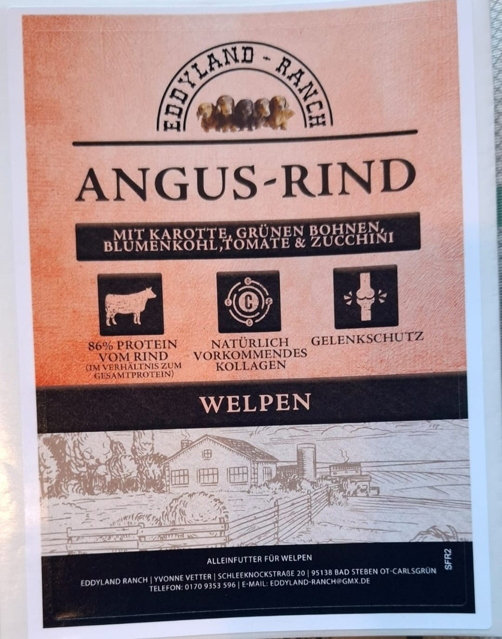 Angus-Rind mit Karotte, grünen Bohnen, Blumenkohl, Tomate & Zucchini