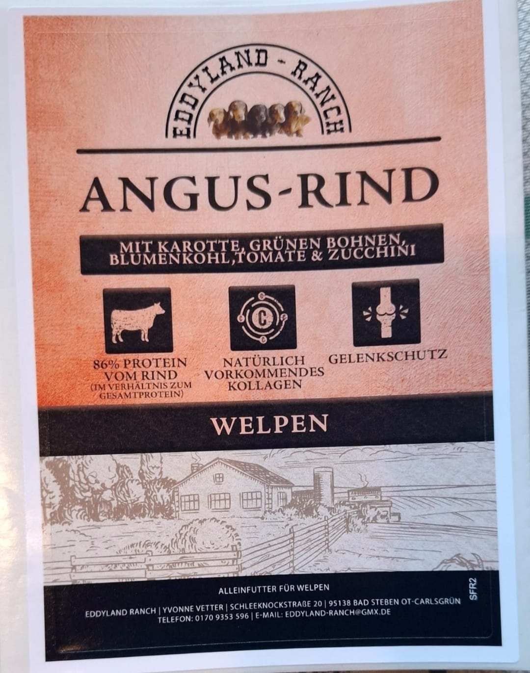 Angus-Rind mit Karotte, grünen Bohnen, Blumenkohl, Tomate & Zucchini