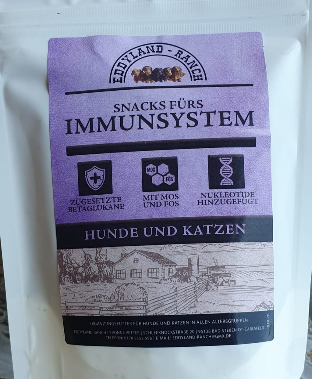 Snacks fürs Immunsystem