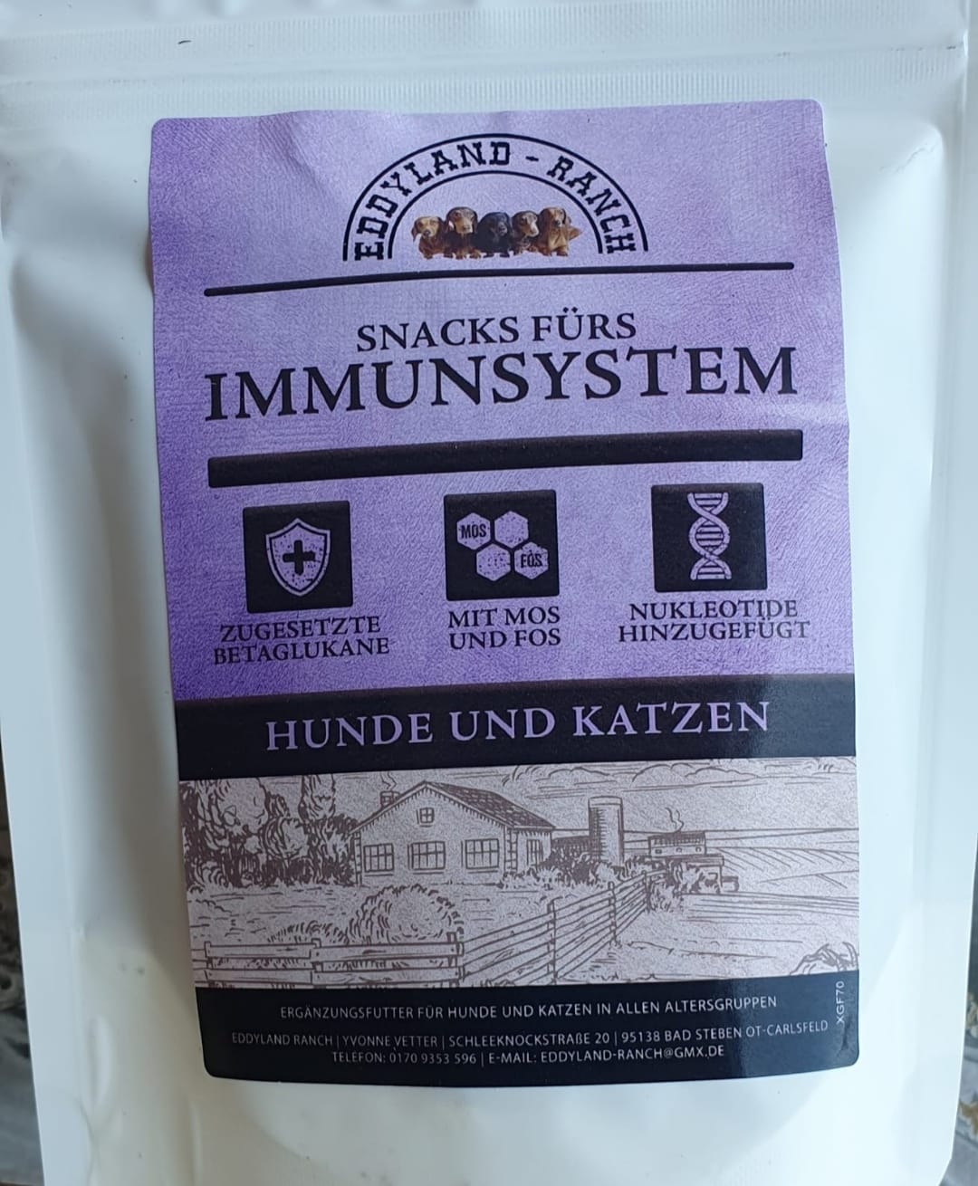 Snacks fürs Immunsystem