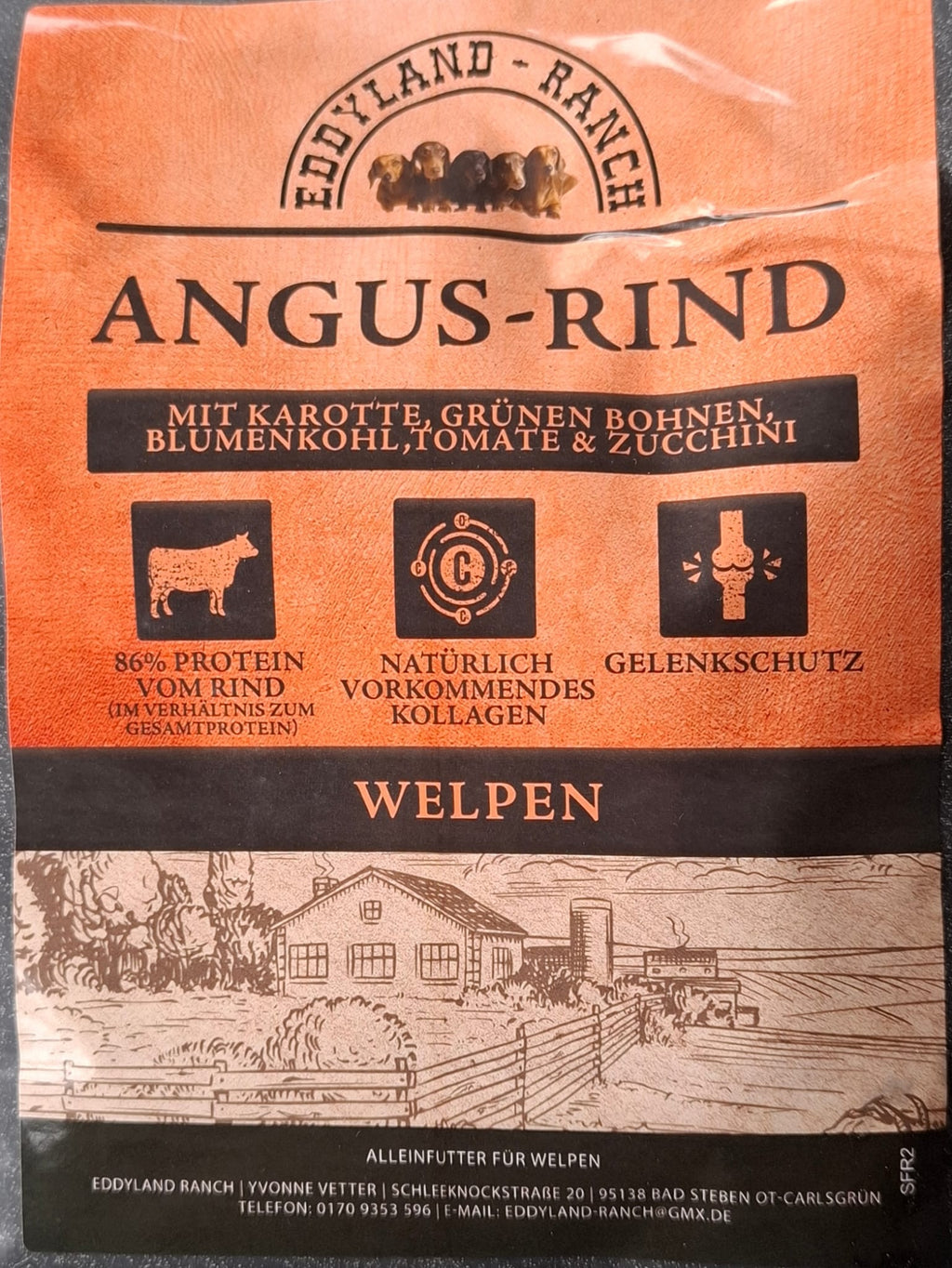 Angus-Rind mit Karotte, grünen Bohnen, Blumenkohl, Tomate & Zucchini